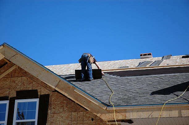 Best Roof Coating and Sealing  in Wonder Lake, IL